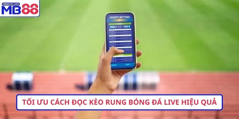 Tối ưu cách đọc kèo rung bóng đá live hiệu quả